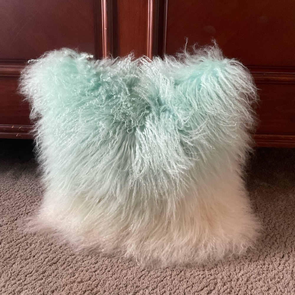 Z GALLERIE Ombré Mongolian Pillow ‘22